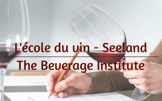 Study Support Site_2